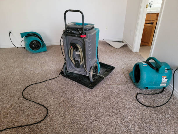 Best Flood damage cleanup  in La Center, WA