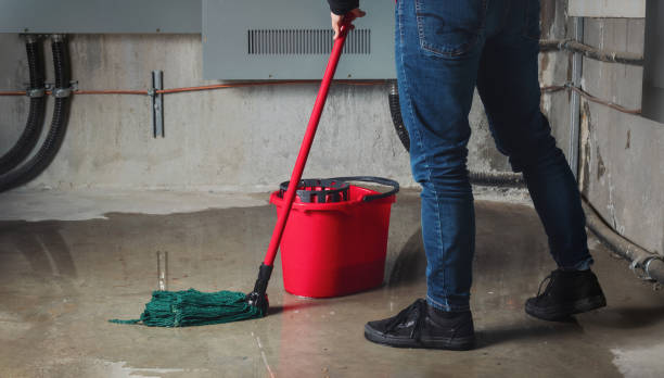 Best Professional water damage repair  in La Center, WA