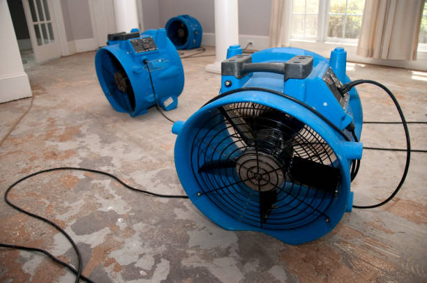 Best Water damage restoration near me  in La Center, WA