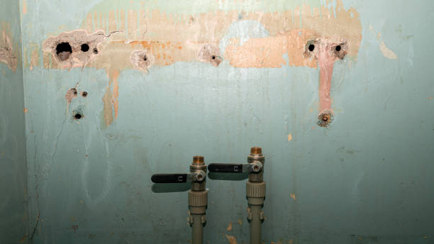 Best Flooded house restoration  in La Center, WA