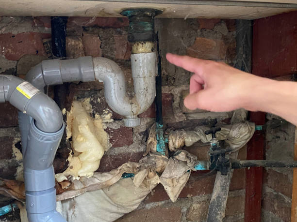 Best Carpet water damage restoration  in La Center, WA