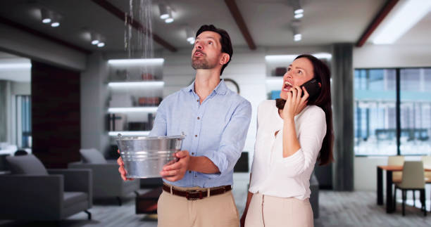 Best Mold removal after water damage  in La Center, WA