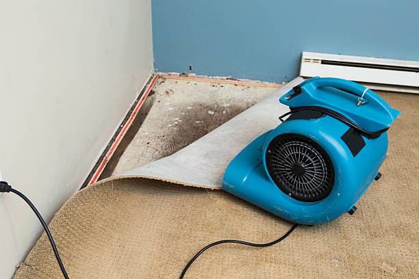 Best Basement water damage restoration  in La Center, WA